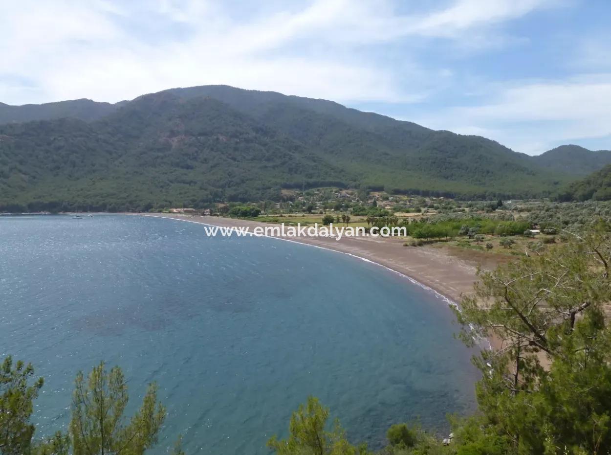 Ekincik Land For Sale Very Close To The Sea 2000M2 Land For Sale