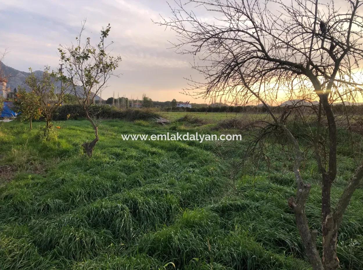 In Okçular Land For Sale 4707M2 Land For Sale