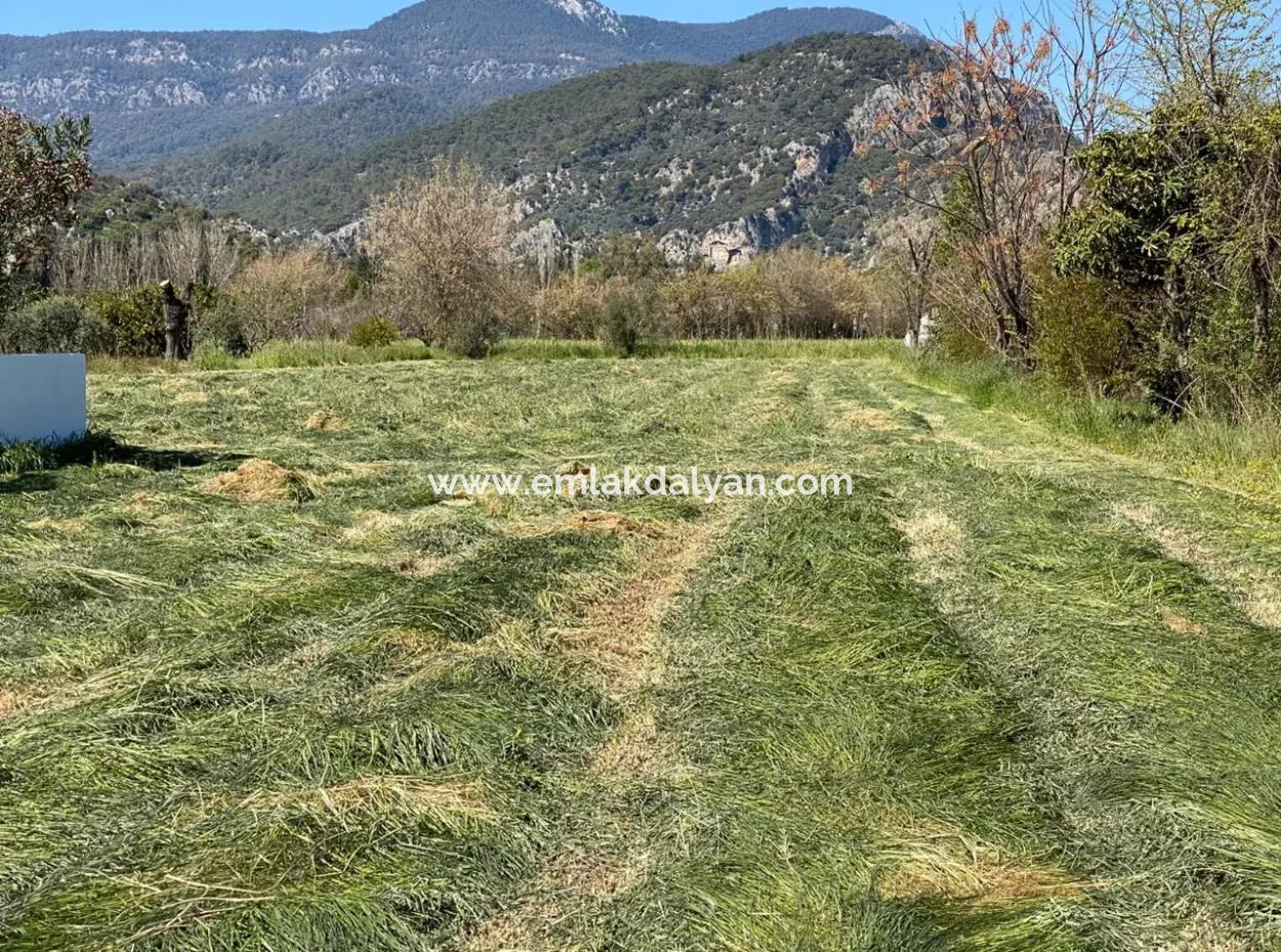 3700M2 Land For Sale In Dalyan