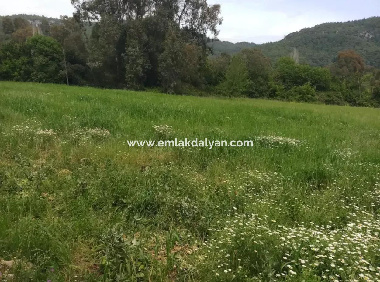 Land For Sale In Çamlida