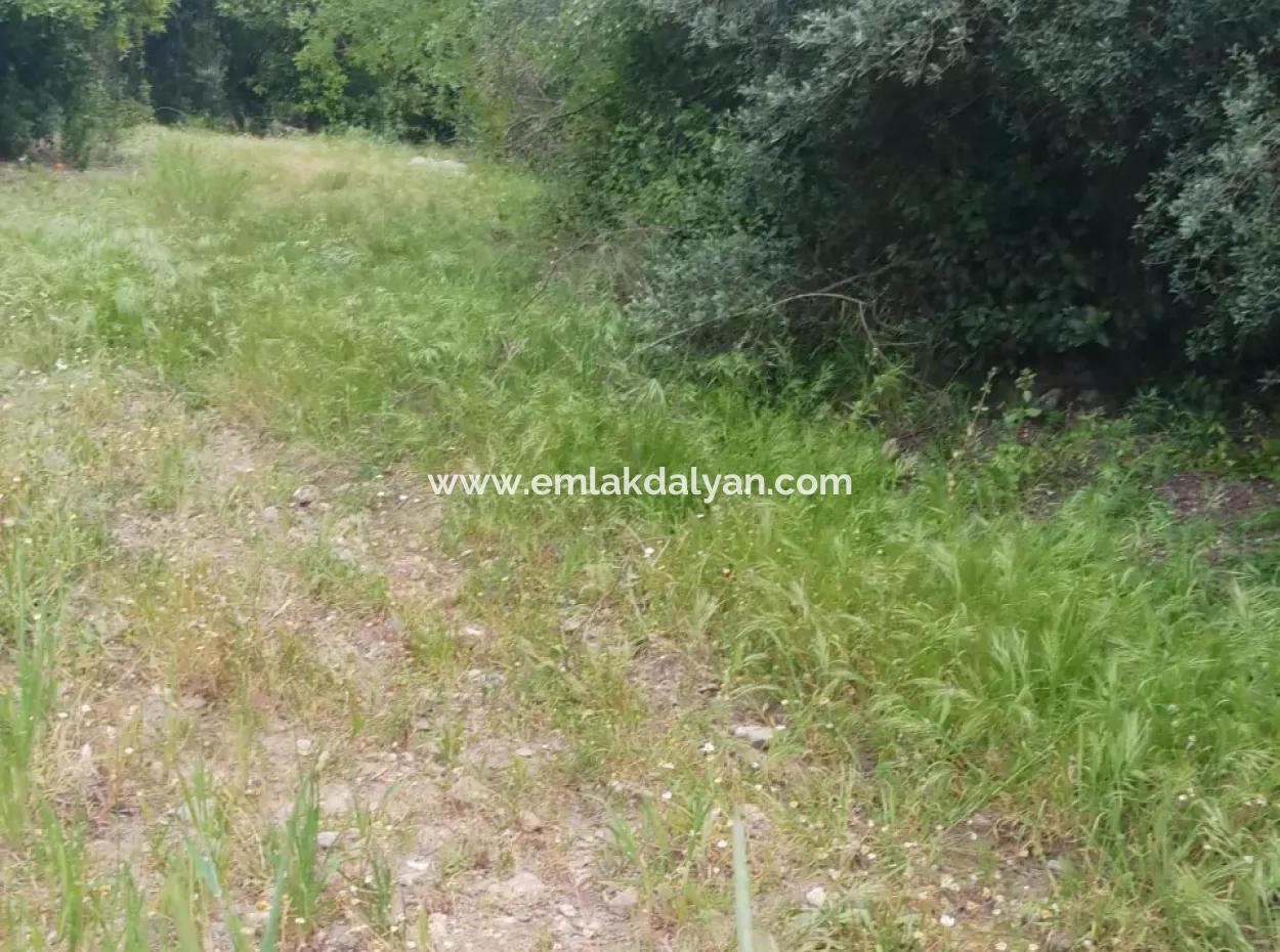 Land For Sale In Çamlida