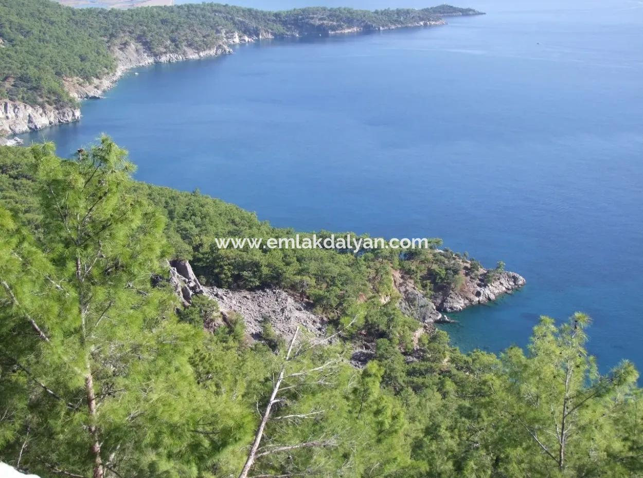 Real Estate Bargain Plot For Sale With Sea Views In Çandır Call In Ekincik