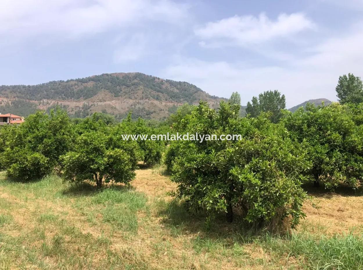 Land For Sale In Sourliyurtda 1085M2