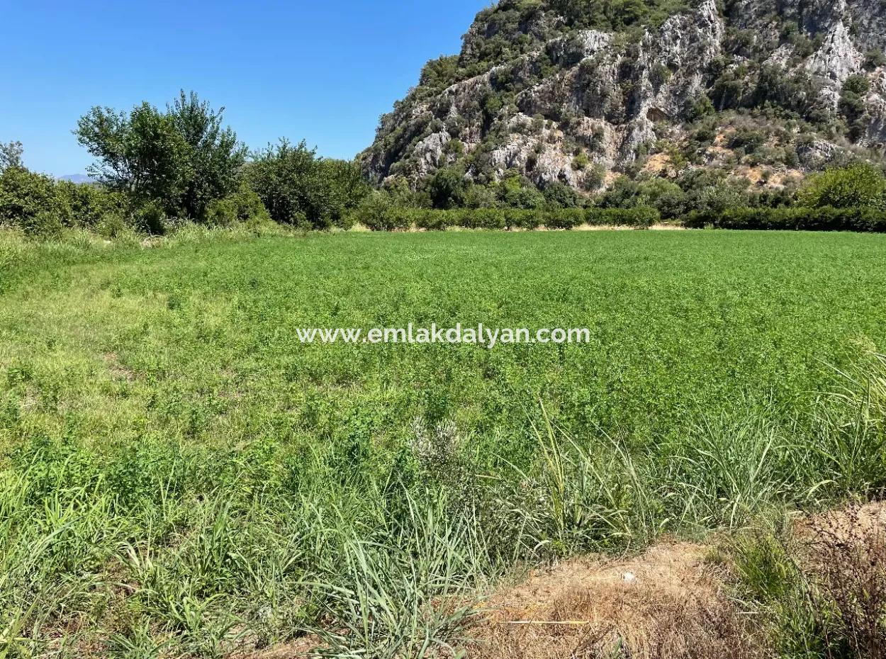 Okçular Land For Sale In Marmarlı 6500M2
