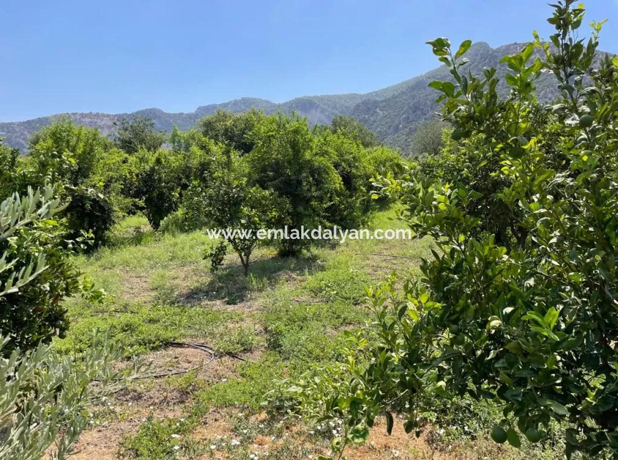 19-Room Hotel For Sale In 7,500 M2 Plot In Dalyanda