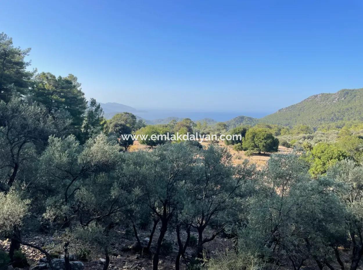 2620M2 Land Field For Sale With Sea View Of Çandir