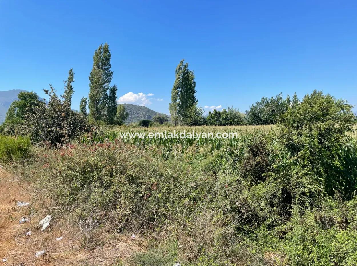 Dalyan Main Road Zero Land For Sale 8115M2 Commercial Land For Sale