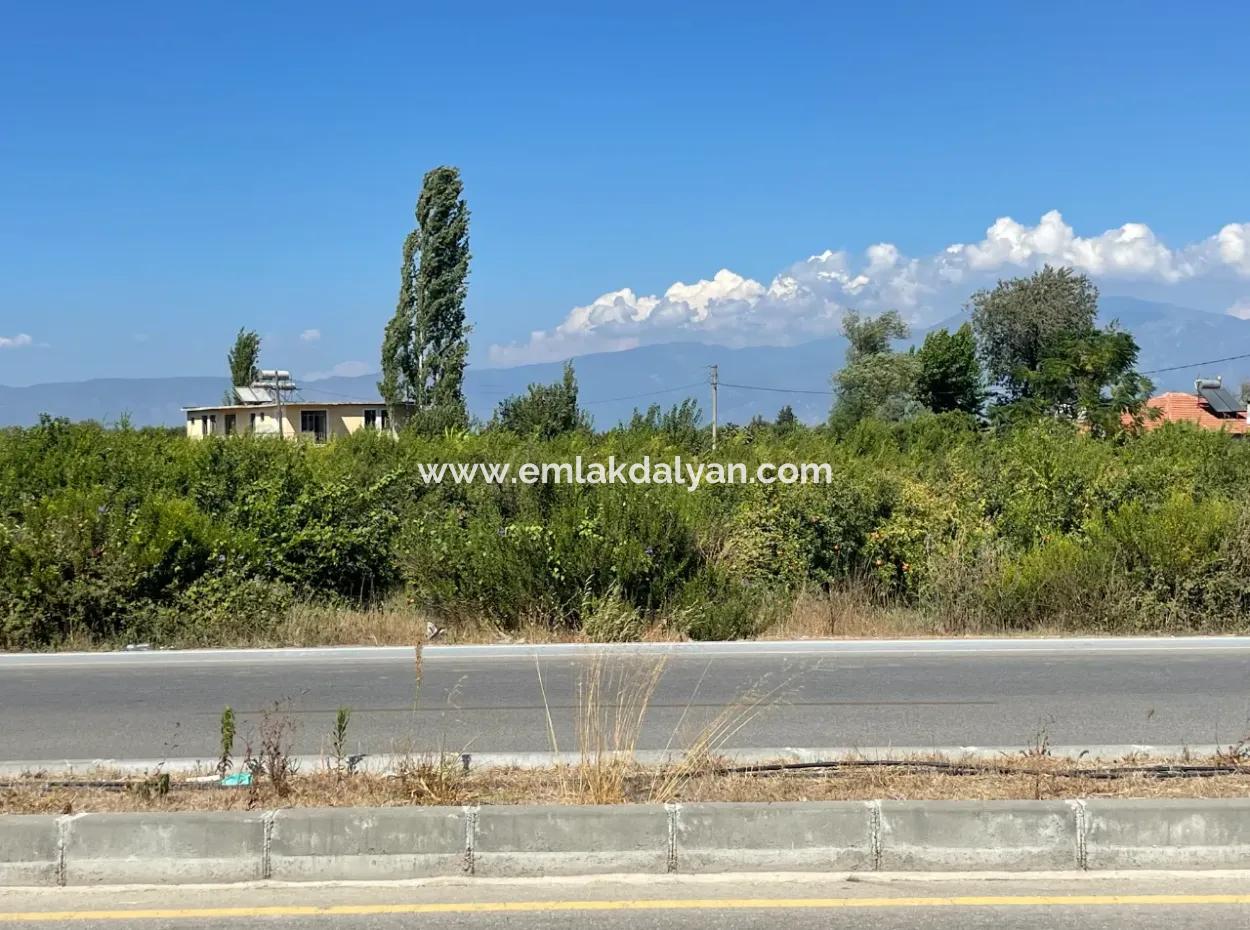 Dalyan Main Road Zero Land For Sale 8115M2 Commercial Land For Sale