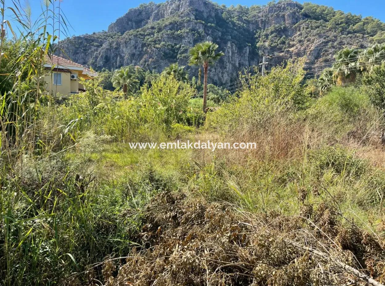 1000M2 Land For Sale In Dalyan Gülpinar Corner