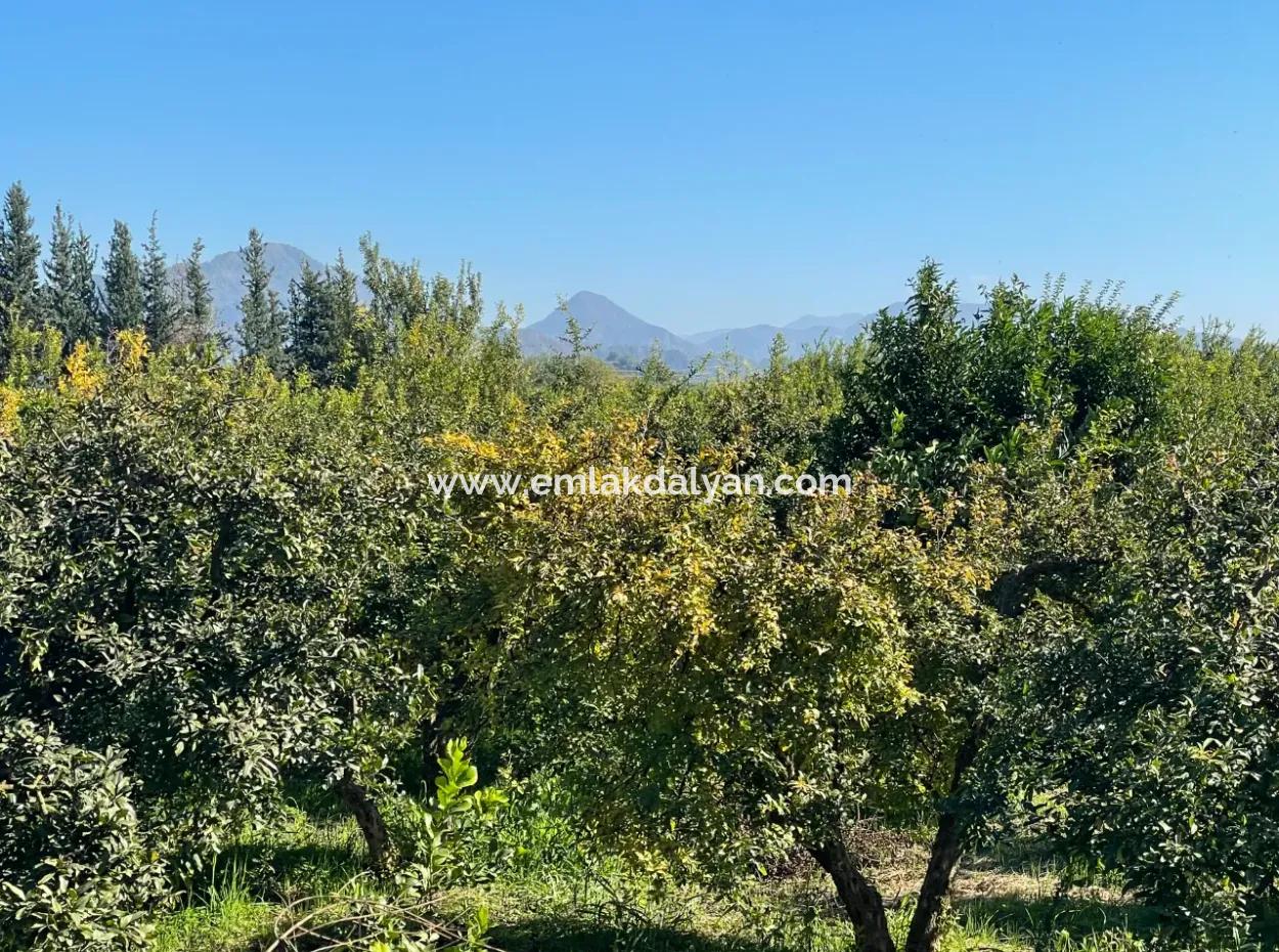 2223M2 Fields For Sale In Dalyan