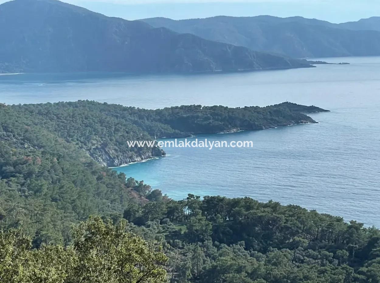 8,900M2 Field For Sale With Full Sea View In Ekincik