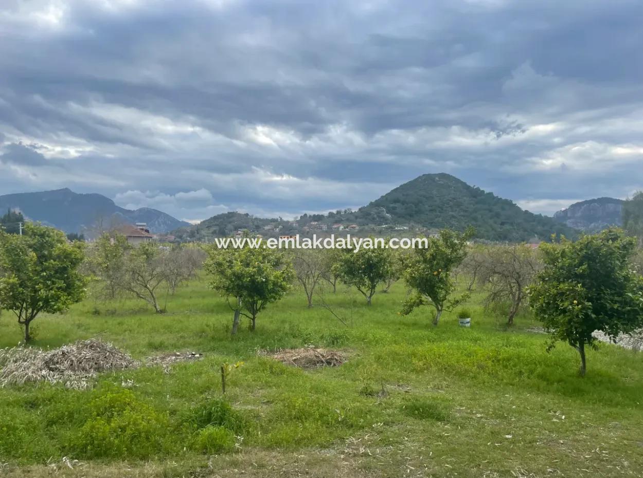 Dalyan Boutique Hotel For Sale Bungolevler For Sale In 11.000M2 Plot