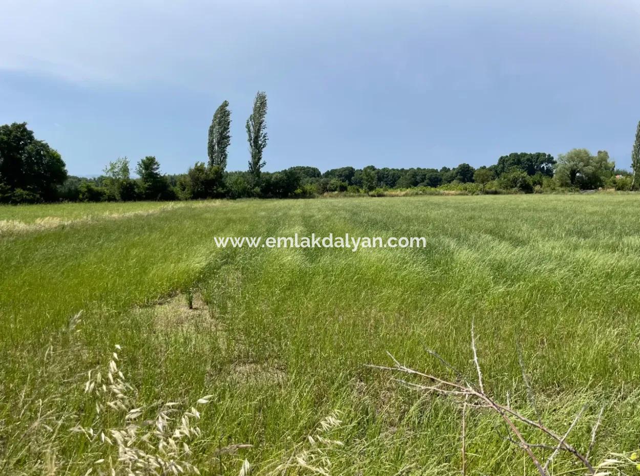 4595M2  Land For Sale In Okçular Marmarlı