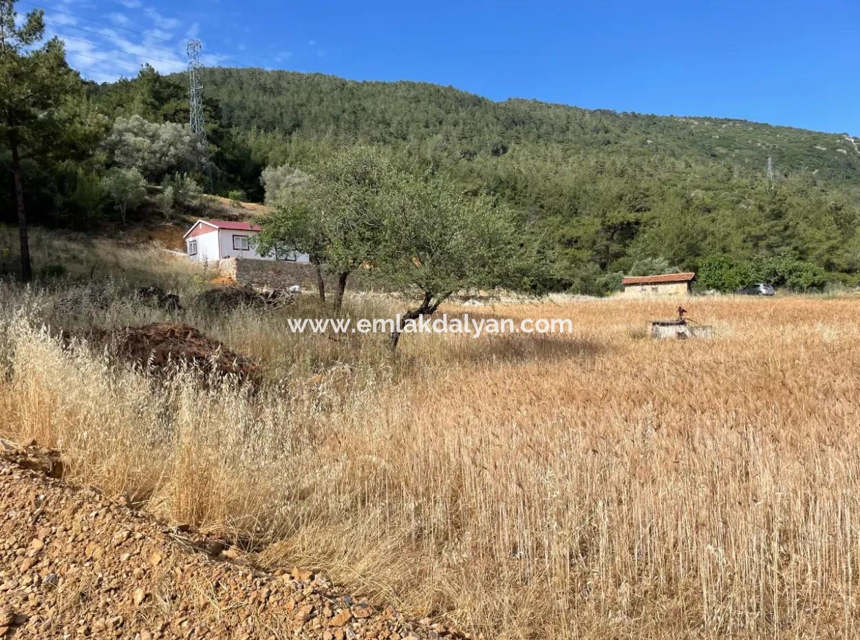 Land For Sale In Ula Armutchuk With 501M2 Zoning