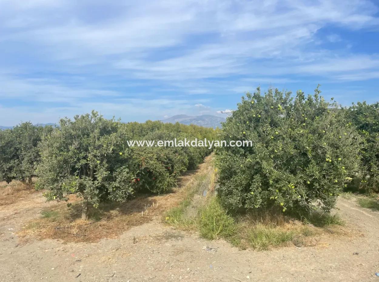 4000M2 Land For Sale Zoned In Village Built-Up Area In Tepearasin