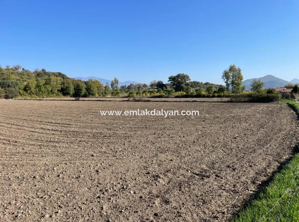 6254M2 Field For Sale Near Dalyan In Eskiköy
