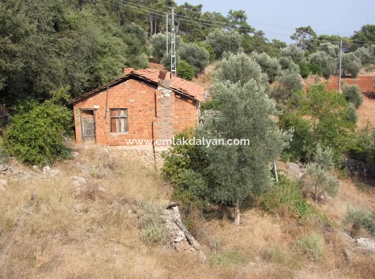 5000M2 Plot Of Land For Sale In Akyaka With Full Sea View House For Sale Kentucky