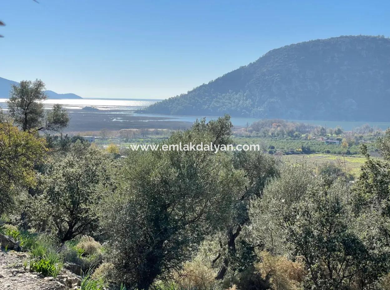 950M2 2B Field For Sale With Sea And Lake View In Çandır