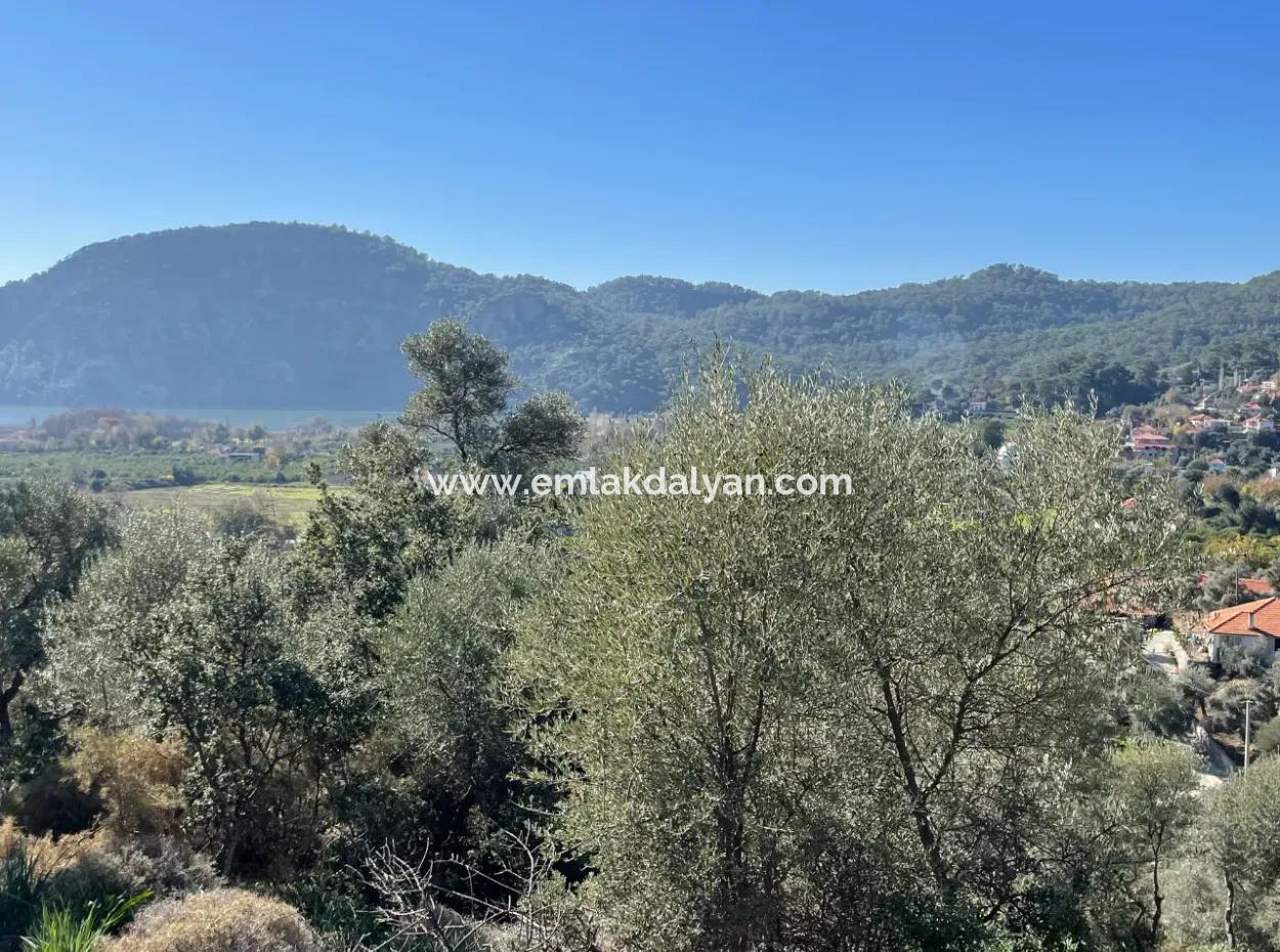 950M2 2B Field For Sale With Sea And Lake View In Çandır