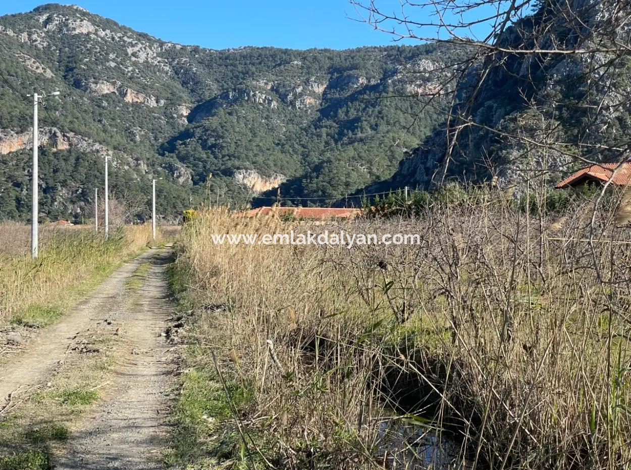 Dalyan Iztuzu Road Zero 5216M2 Field Plot For Sale