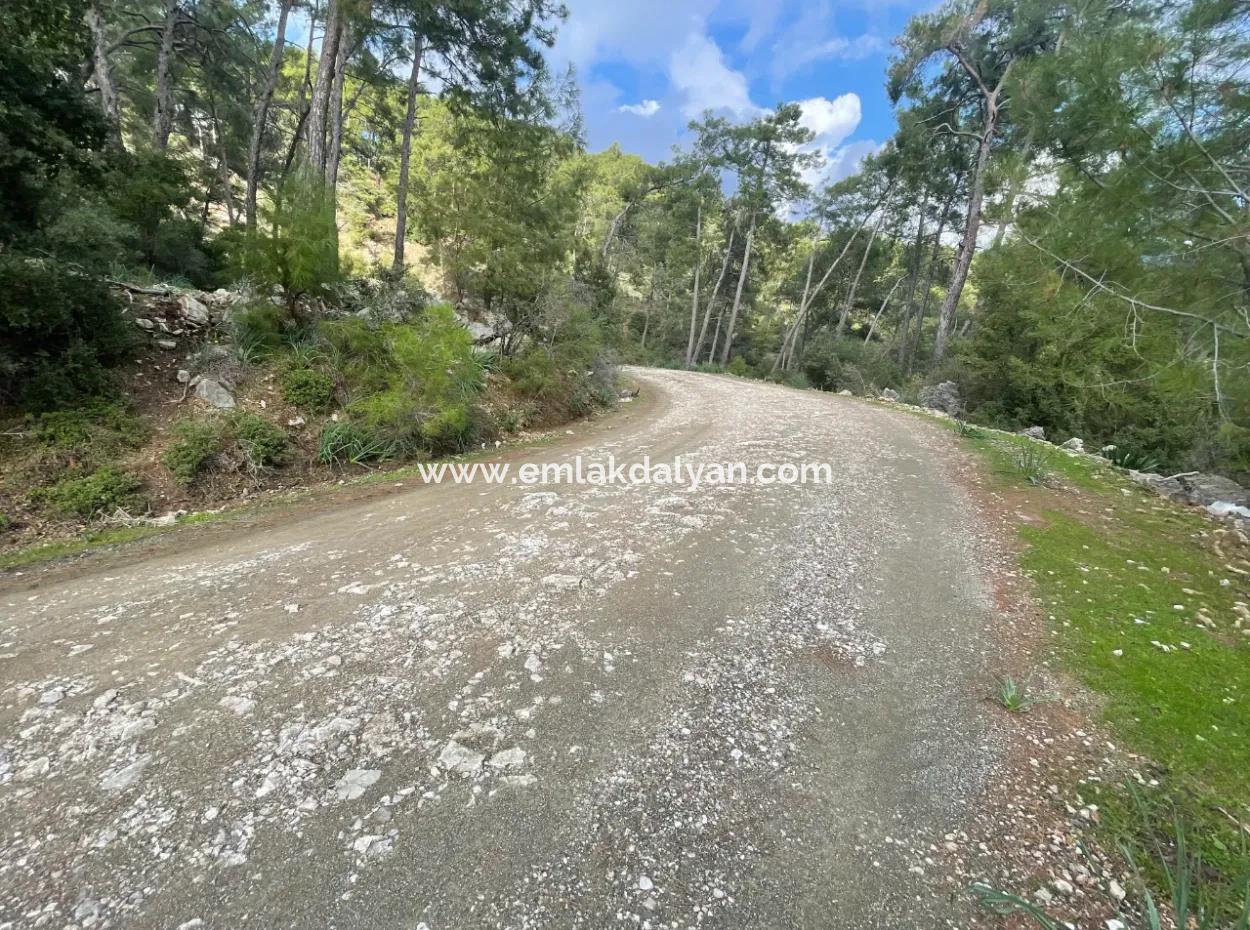 10,707M2 2B Field For Sale With Sea Lake View In Çandır