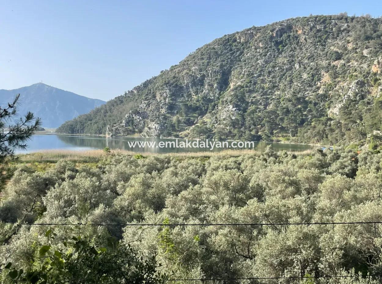 1,136M2 Field Plot For Sale With Çandır Lake View