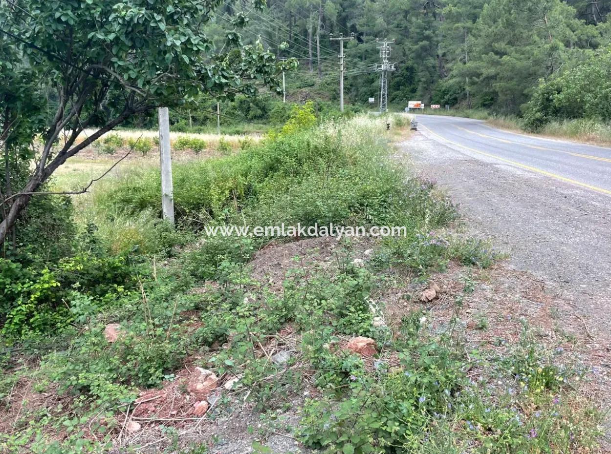 Gökbelde 14,000M2 Field For Sale