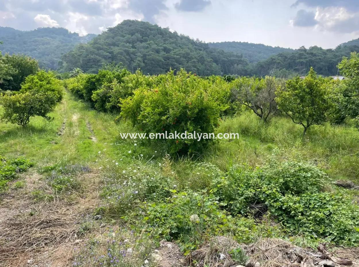 7800M2 Land For Sale At The Beginning Of Iztuzu Beach Road In Gökbel