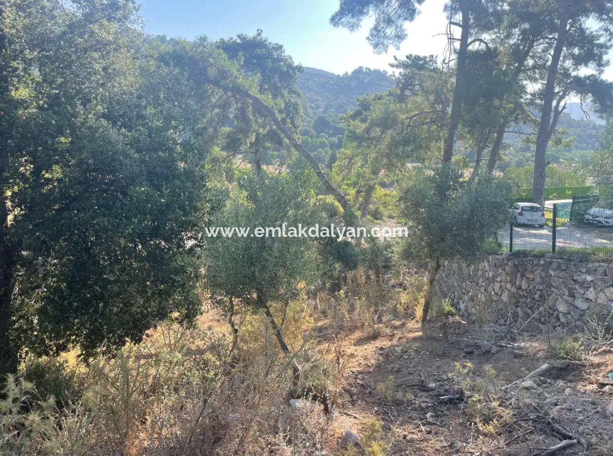 1,320M2 Field For Sale In Çandır Center By The Forest