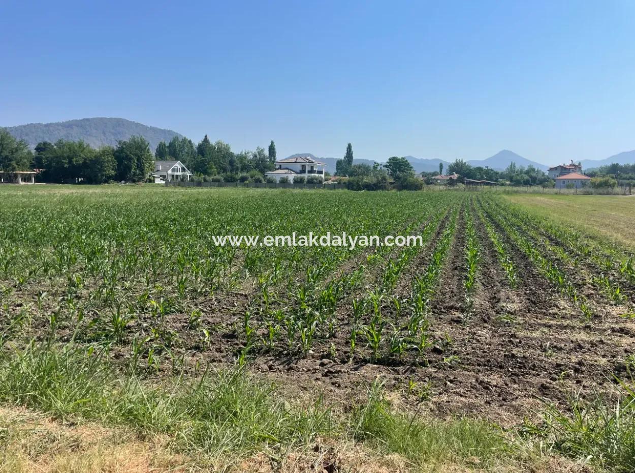 Land For Sale Of 2715M2 In The Built-Up Area Of The Village In Okçular