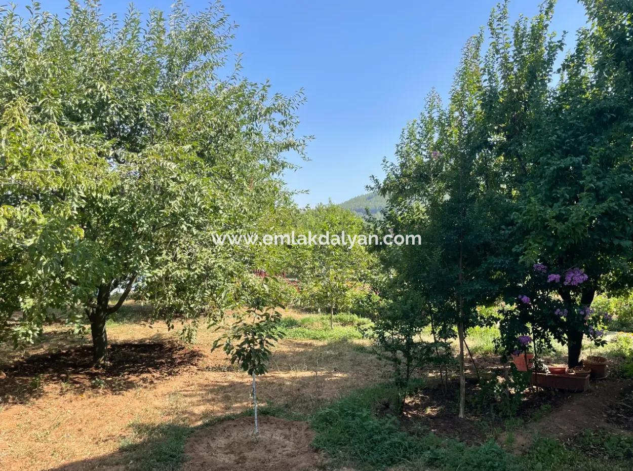 Muğla Ula Köprübaşı Mahallesin In 2378M2 Land In 3 1 Vlla For Sale