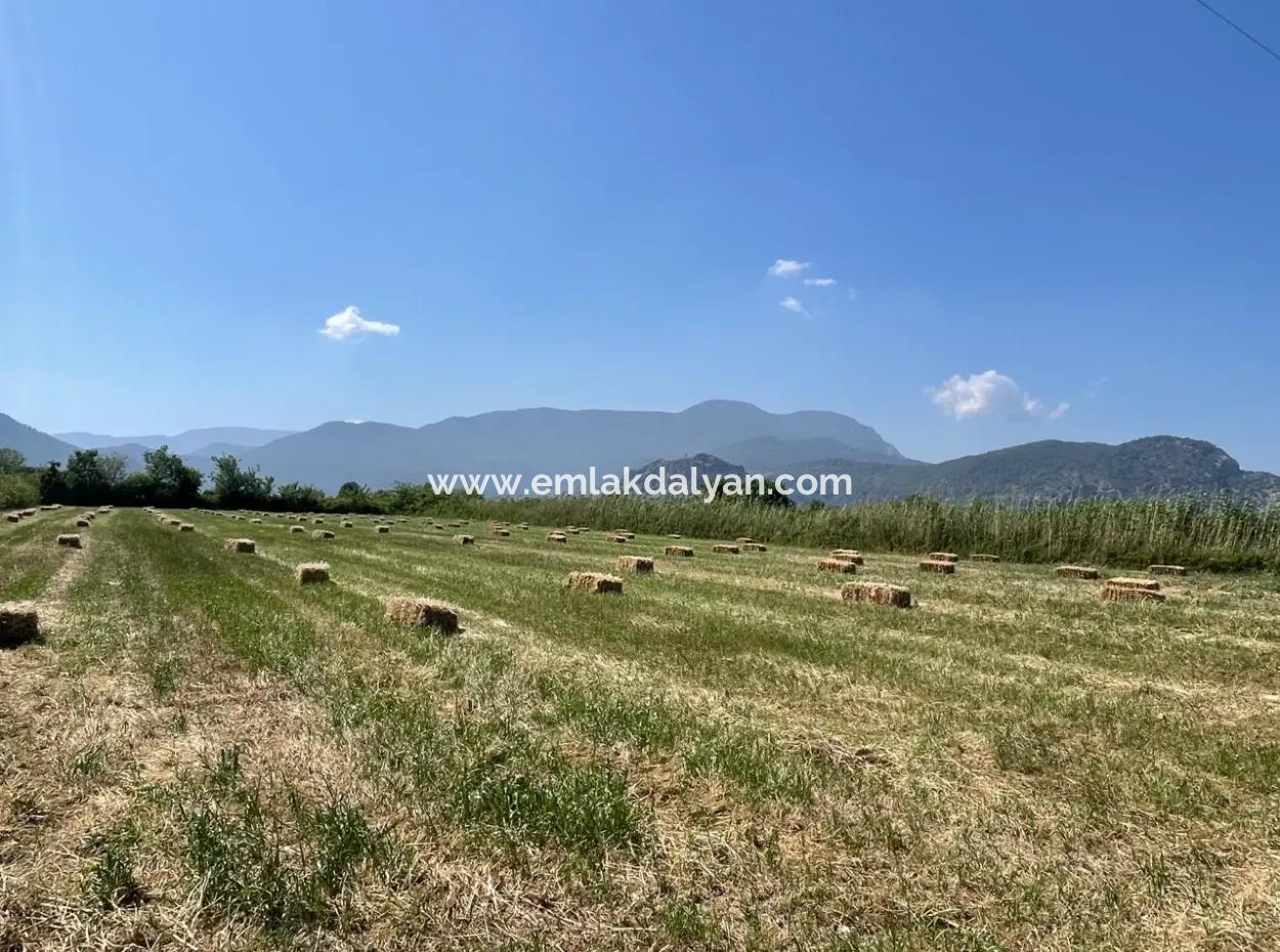 6,500M2 Field For Sale On The Iztuzu Road In Dalyan