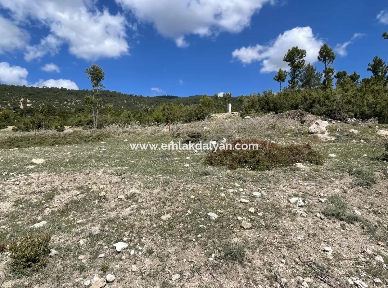 3 Plots Of Land For Sale In Çamelin