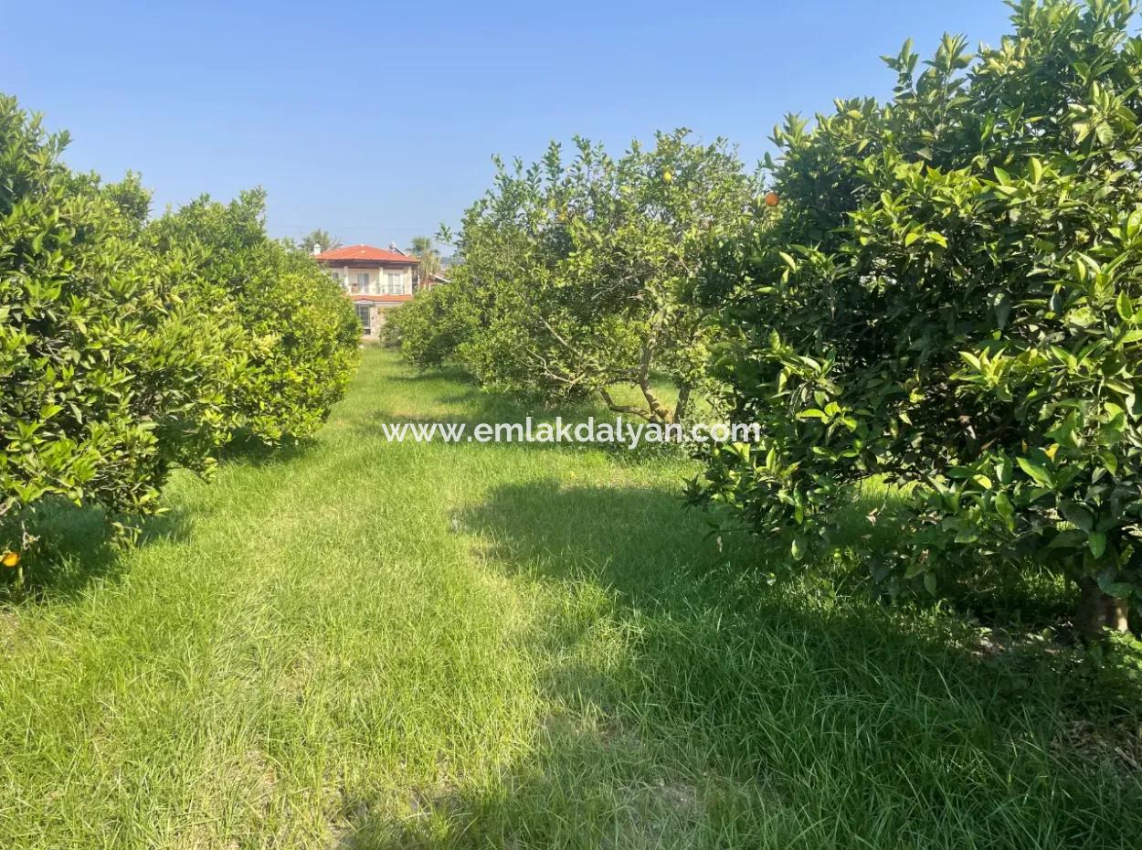 Land For Sale In Gulpinar, Dalyan 722M2