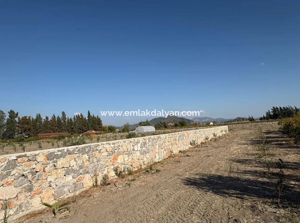 19.663M2 Farm Land And House For Sale In Eskiköy