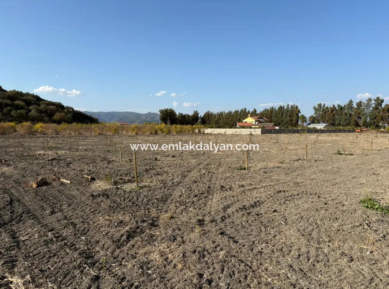 19.663M2 Farm Land And House For Sale In Eskiköy