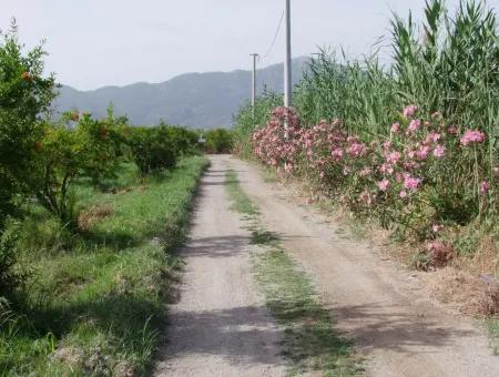 Merkez Dalyan Iztuzu Lake Garden Villa For Sale