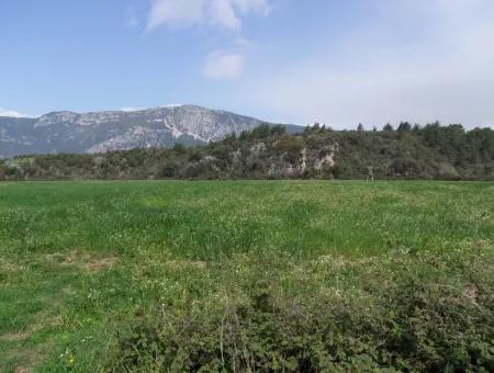 In Akyaka For Sale: Land For Sale Farm For Sale A Farm Near The Sea Of Ars, Yatirimlik 21625M2