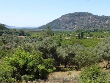 2300M2 Land For Sale Near The Center Of The Land For Sale
