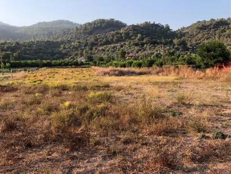 2300M2 Land For Sale Near The Center Of The Land For Sale