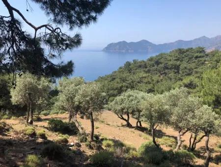 7034M2 Field For Sale With Sea View In Çandir