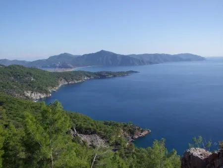 Real Estate Bargain Plot For Sale With Sea Views In Çandır Call In Ekincik