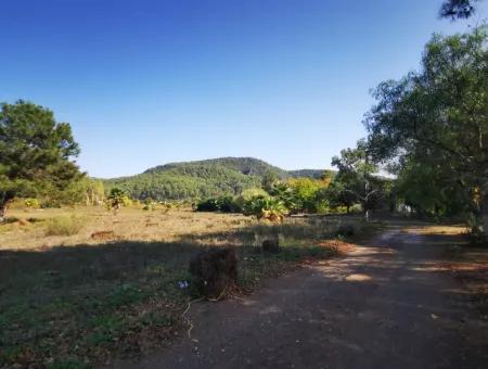 Land Land For Sale In Çamlıda Marmaris Çamlıda Sea View 11720M2 Land For Sale