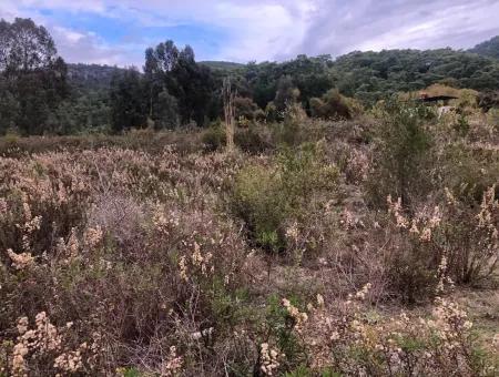 Land  For Sale Zero To Çamlı Canal 28768M2 Land For Sale With Sea View In Camlida