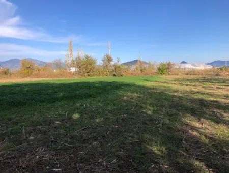 Land For Sale In Dalyan 2540M2