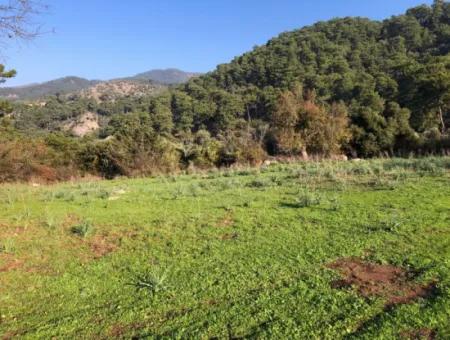 Ekincik Land For Sale 10,038M2 Land For Sale Field