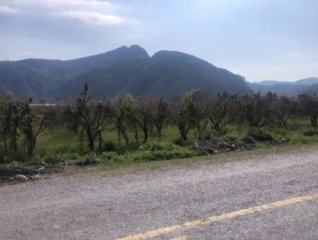 5500M2 Land For Sale In Dalyan