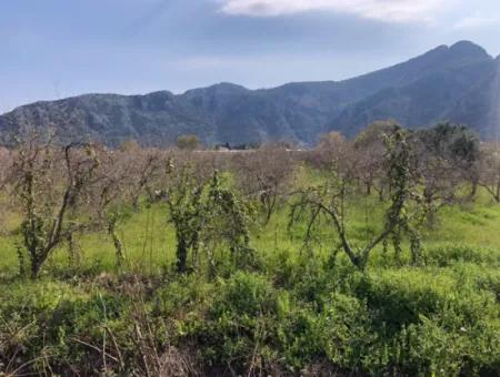 5500M2 Land For Sale In Dalyan