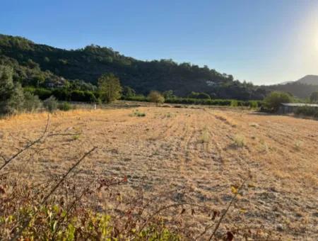 2000M2 Land For Sale In The Built-Up Area Of Çandir Village