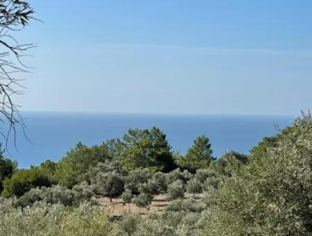 Land For Sale With Sea View Of Çandir